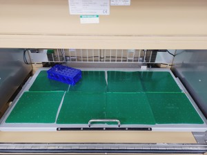 Thumbnail image of Infors HT Multitron/Pro Triple Stack Shaking Co2 Incubators w/ Humidity Lab