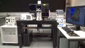 Thumbnail image of Zeiss LSM710 Confocal with Elyra PS.1 Superresolution Microscope