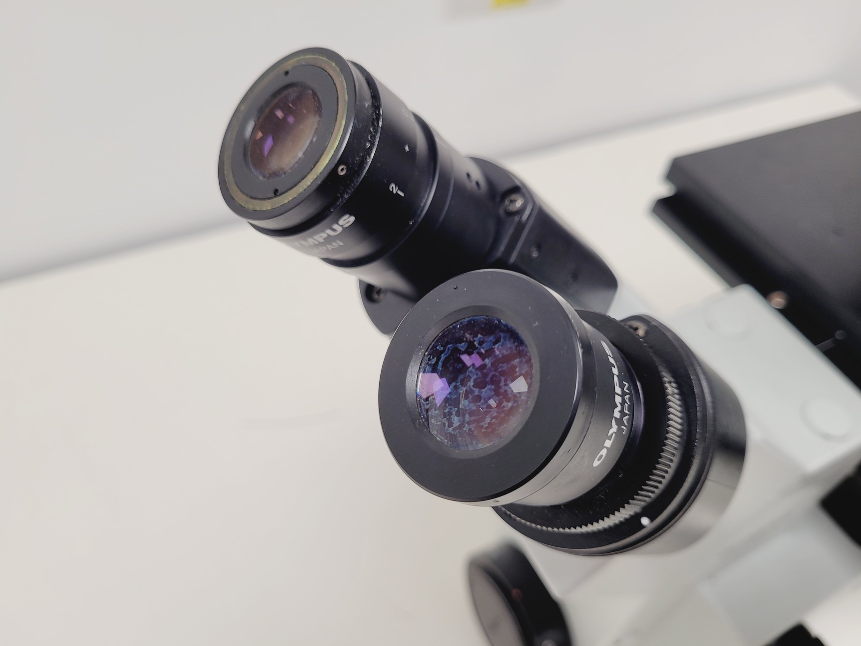 Image of Olympus IX-70/Fluoview FV-500 Confocal Microscope System