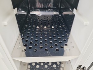 Thumbnail image of Thermo Scientific HERATHERM IMC 18 Compact Incubator (2021) Lab