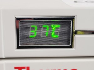Thumbnail image of Thermo Scientific HERATHERM IMC 18 Compact Incubator (2021) Lab