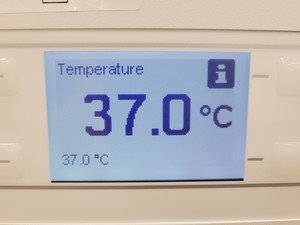 Thumbnail image of Kuhner Shaker ISF1-ZC EcoDew Shaking Incubator Double Stack Lab