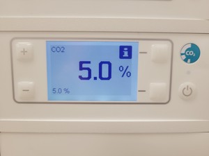 Thumbnail image of Kuhner Shaker ISF1-ZC EcoDew Shaking Incubator Double Stack Lab