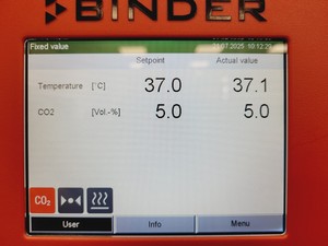 Thumbnail image of Binder CB160 E6.1 Co2 Incubator Double Stack 9140-0092 Lab