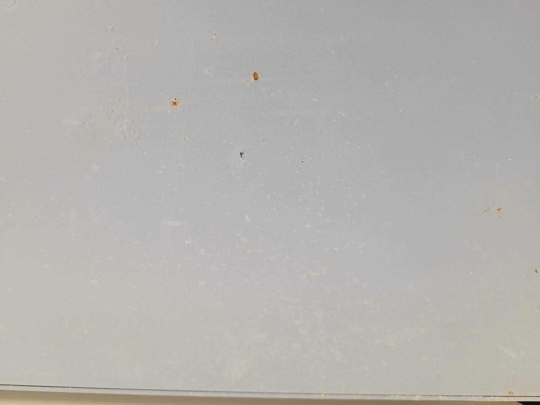 Image of Stuart SI600 Shaking Incubator