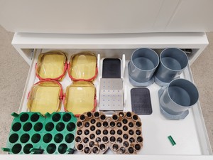 Thumbnail image of Thermo Scientific Heraeus Multifuge X3R Centrifuge with TX-1000 Rotor Lab