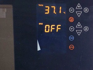 Thumbnail image of Infors HT Minitron Co2 Shaking Incubator w/ Humidity (2018)  