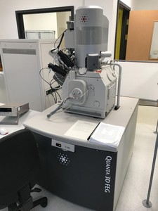 Thumbnail image of FEI Quanta 3D FEG Scanning Electron Microscope w/ Focused Ion Beam (FIB) Lab