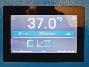 Thumbnail image of VWR INCU-Line 180 Prime Incubator Lab