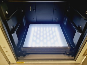 Thumbnail image of Fujifilm Intelligent Dark Box II LAS-1000plus IDX2
