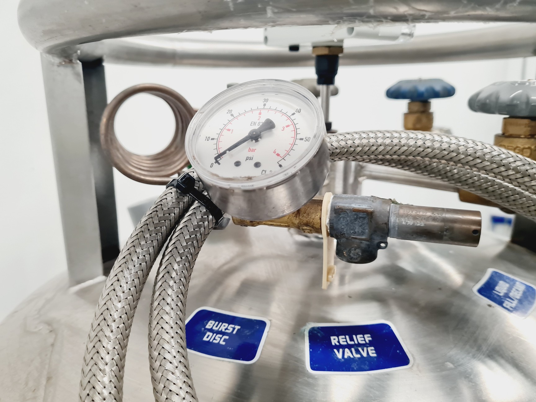 Image of StateBourn CryoStor 240 Stainless Nitrogen Storage Lab