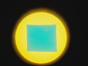 Thumbnail image of Olympus CK 2 Microscope w/ 4 x Objectives Lab