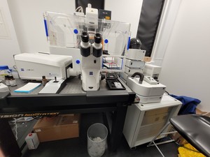 Image of Zeiss LSM880 Inverted Confocal Microscope with Airyscan / Supported By Zeiss Lab