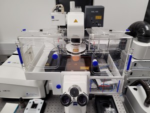 Thumbnail image of Zeiss LSM880 Inverted Confocal Microscope with Airyscan / Supported By Zeiss Lab