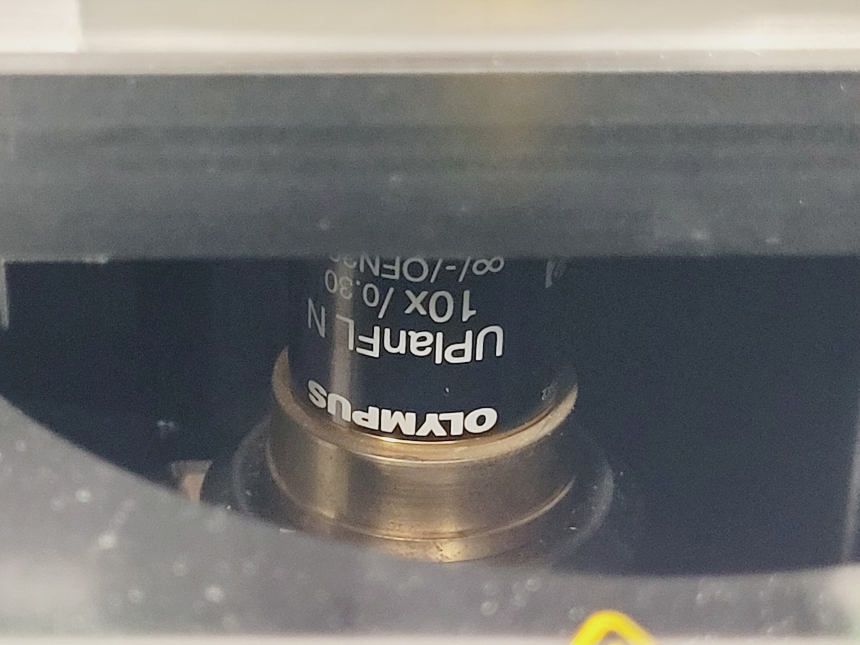 Image of Synentec NyOne Cell Imager Lab