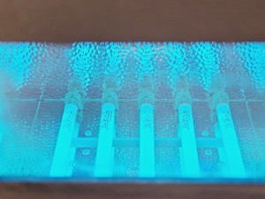 Thumbnail image of Vilber BLX-365 Crosslinker Lab