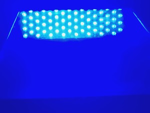 Thumbnail image of Syngene Blue LED Illuminator Lab