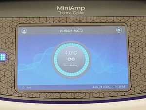 Thumbnail image of Applied Biosystems MiniAmp Thermal Cycler Lab