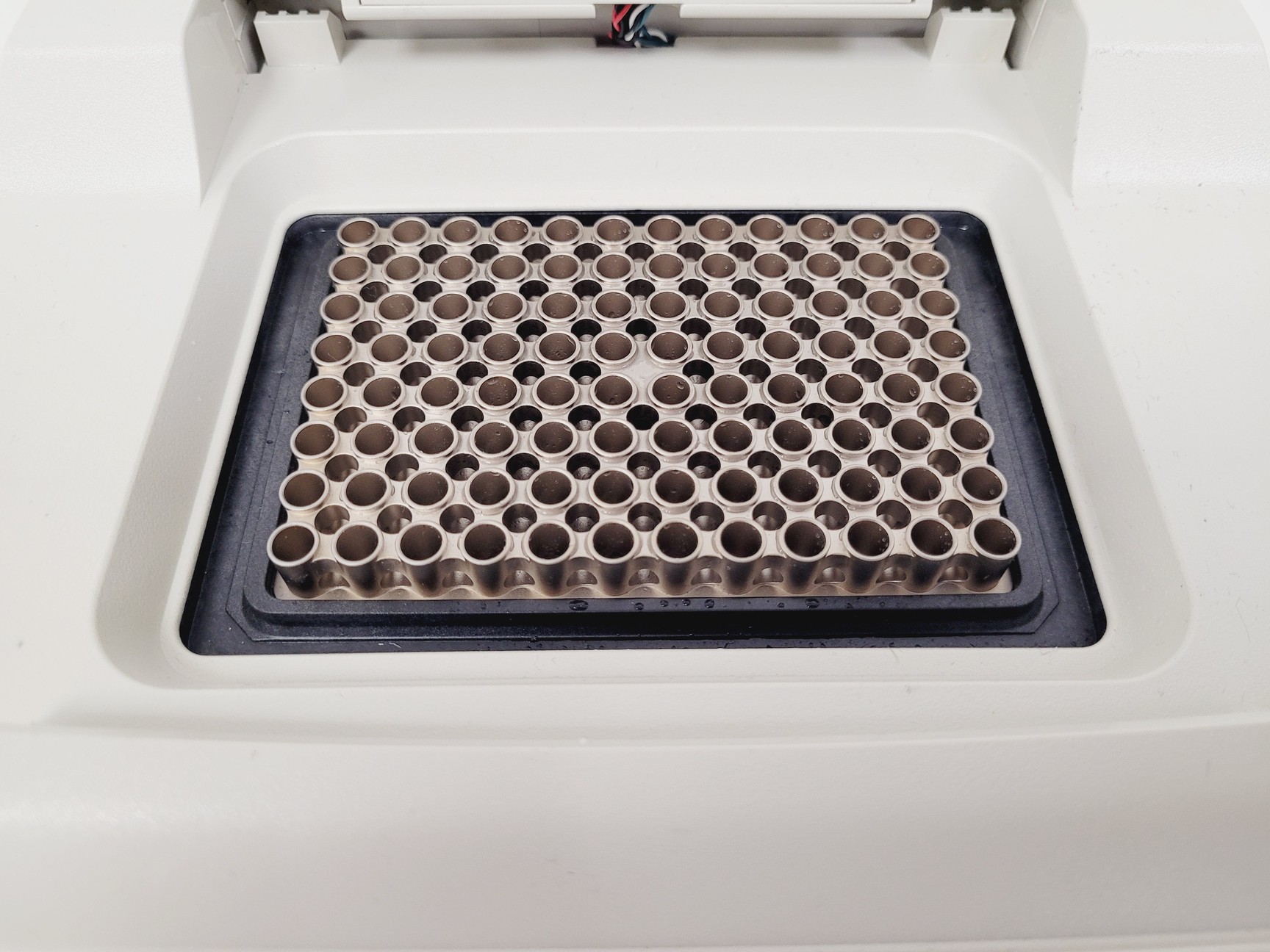 Image of Bio-Rad C1000 Touch Thermal Cycler Lab