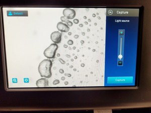 Thumbnail image of Invitrogen Countess II Automated Cell Counter Lab