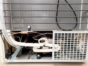 Thumbnail image of Sanyo MIR-254 Cooled Incubator Lab