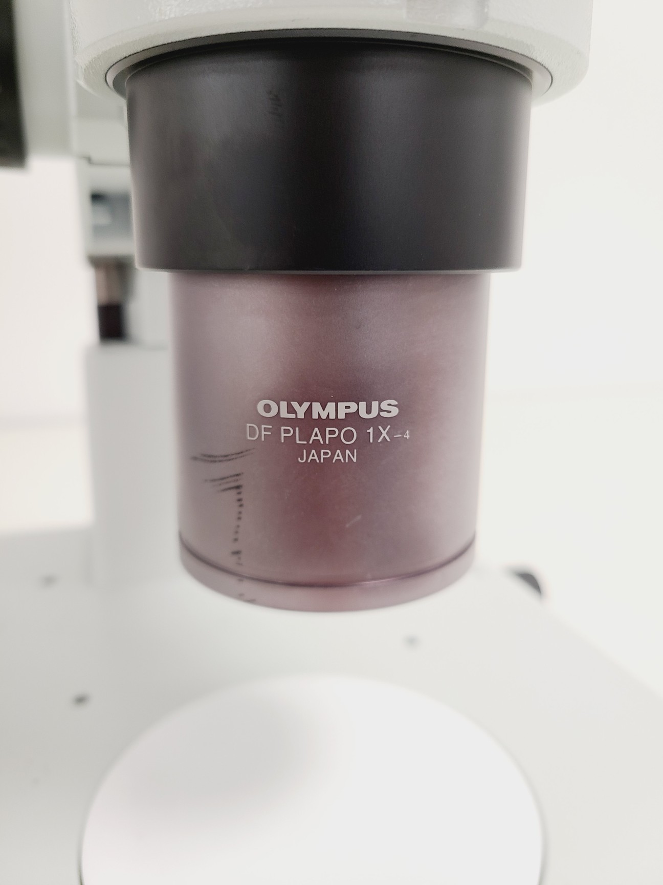 Image of Olympus SZX7 Microscope w/ Evolution LC Megapixel Firewire Camera Kit