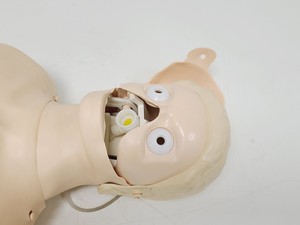 Thumbnail image of 12x Laerdal Rususci Anne Torso Manikins w/ 5 x 20 Hypaguard Face Shields