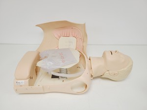 Thumbnail image of 12x Laerdal Rususci Anne Torso Manikins w/ 5 x 20 Hypaguard Face Shields