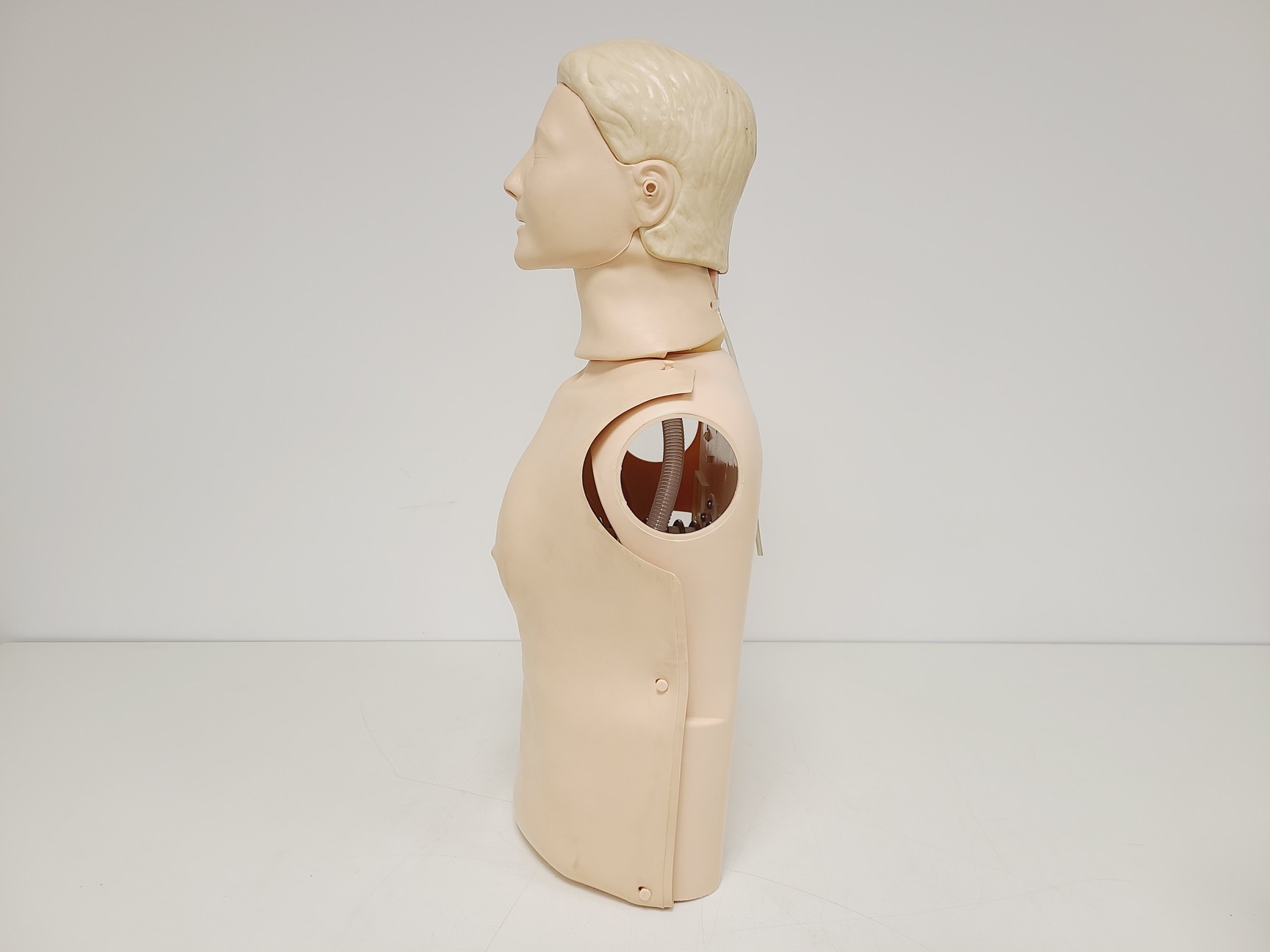Image of 12x Laerdal Rususci Anne Torso Manikins w/ 5 x 20 Hypaguard Face Shields