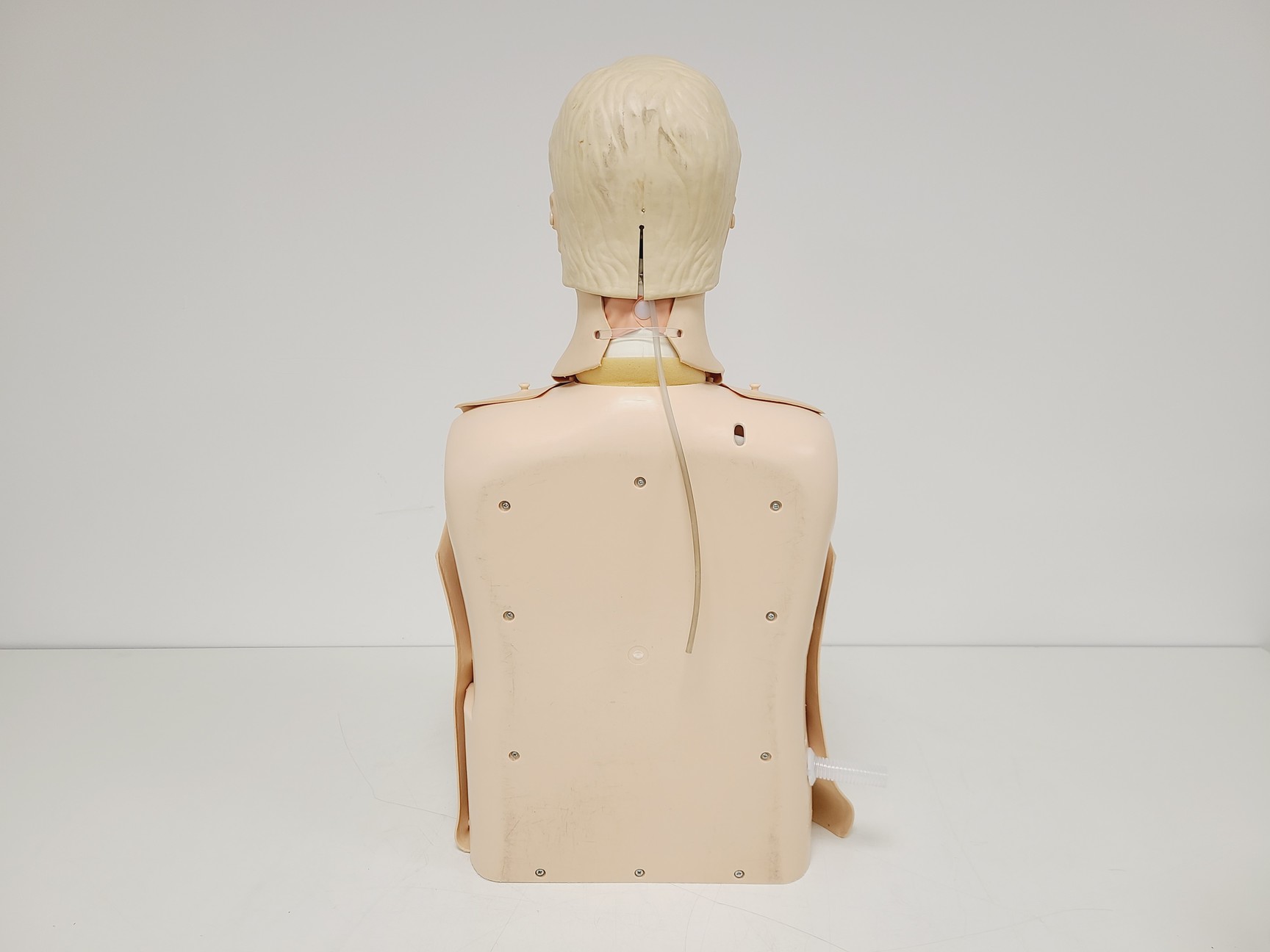Image of 12x Laerdal Rususci Anne Torso Manikins w/ 5 x 20 Hypaguard Face Shields