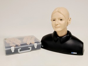Image of Kyoto Kagaku Ear Examination Simulator Kit w/ 11 Matching Sets of Ear Models
