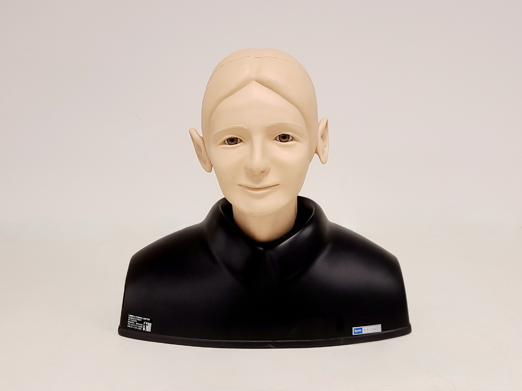 Image of Kyoto Kagaku Ear Examination Simulator Kit w/ 11 Matching Sets of Ear Models