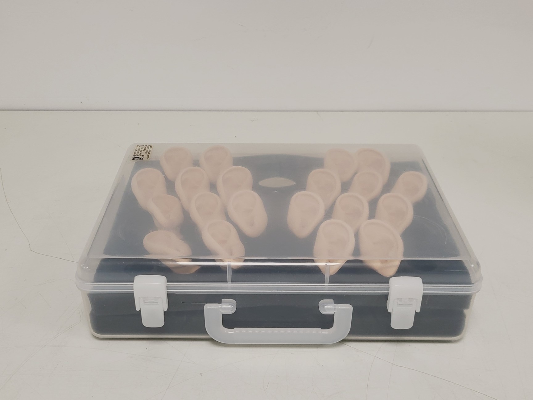 Image of Kyoto Kagaku Ear Examination Simulator Kit w/ 11 Matching Sets of Ear Models