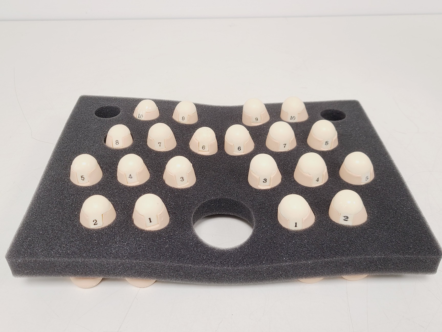Image of Kyoto Kagaku Ear Examination Simulator Kit w/ 11 Matching Sets of Ear Models