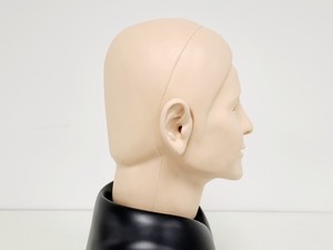 Thumbnail image of Kyoto Kagaku Ear Examination Simulator Kit w/ 11 Matching Sets of Ear Models