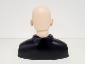 Thumbnail image of Kyoto Kagaku Ear Examination Simulator Kit w/ 11 Matching Sets of Ear Models