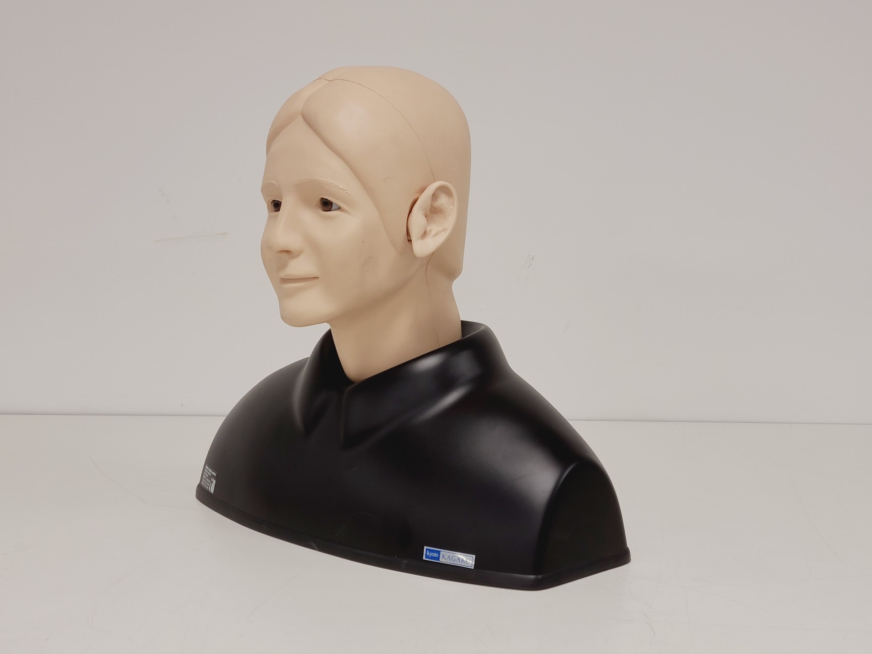 Image of Kyoto Kagaku Ear Examination Simulator Kit w/ 11 Matching Sets of Ear Models