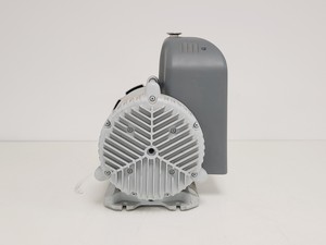 Thumbnail image of Genevac Boc Edwards Scroll Pump Model XDS 5