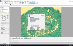 Thumbnail image of Zeiss PALM Microbeam System With PC & Software