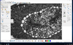Thumbnail image of Zeiss PALM Microbeam System With PC & Software