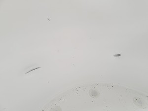 Thumbnail image of Beckman Coulter Optima XPN-80 Ultra Centrifuge