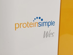 Thumbnail image of ProteinSimple Wes Western Blot Protein Analyser System