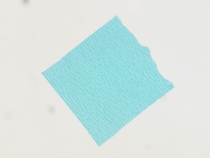 Thumbnail image of Motic SMZ-168 Stereo Microscope Lab