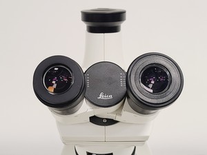 Thumbnail image of Leica DM750 Binocular Microscope
