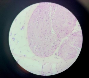 Thumbnail image of Leica DM750 Binocular Microscope
