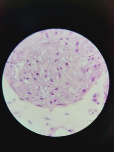 Thumbnail image of Leica DM750 Binocular Microscope