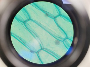 Thumbnail image of Prior PX033 Compound Microscope W/ PaxCam EDU