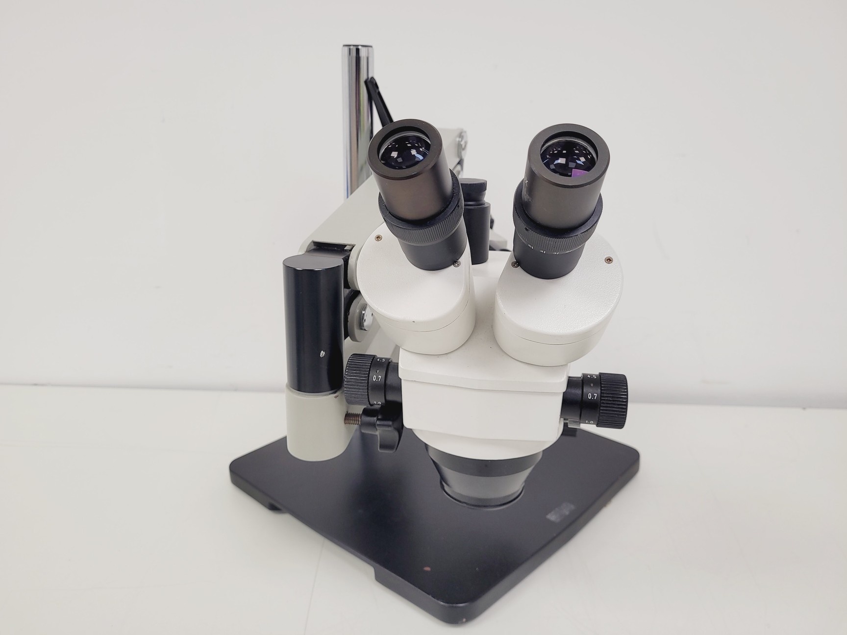 Image of GX	XTL 3T101 Stereo Microscope