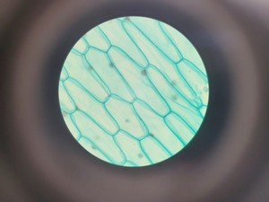 Thumbnail image of Brunel SP550C Comparison Microscope