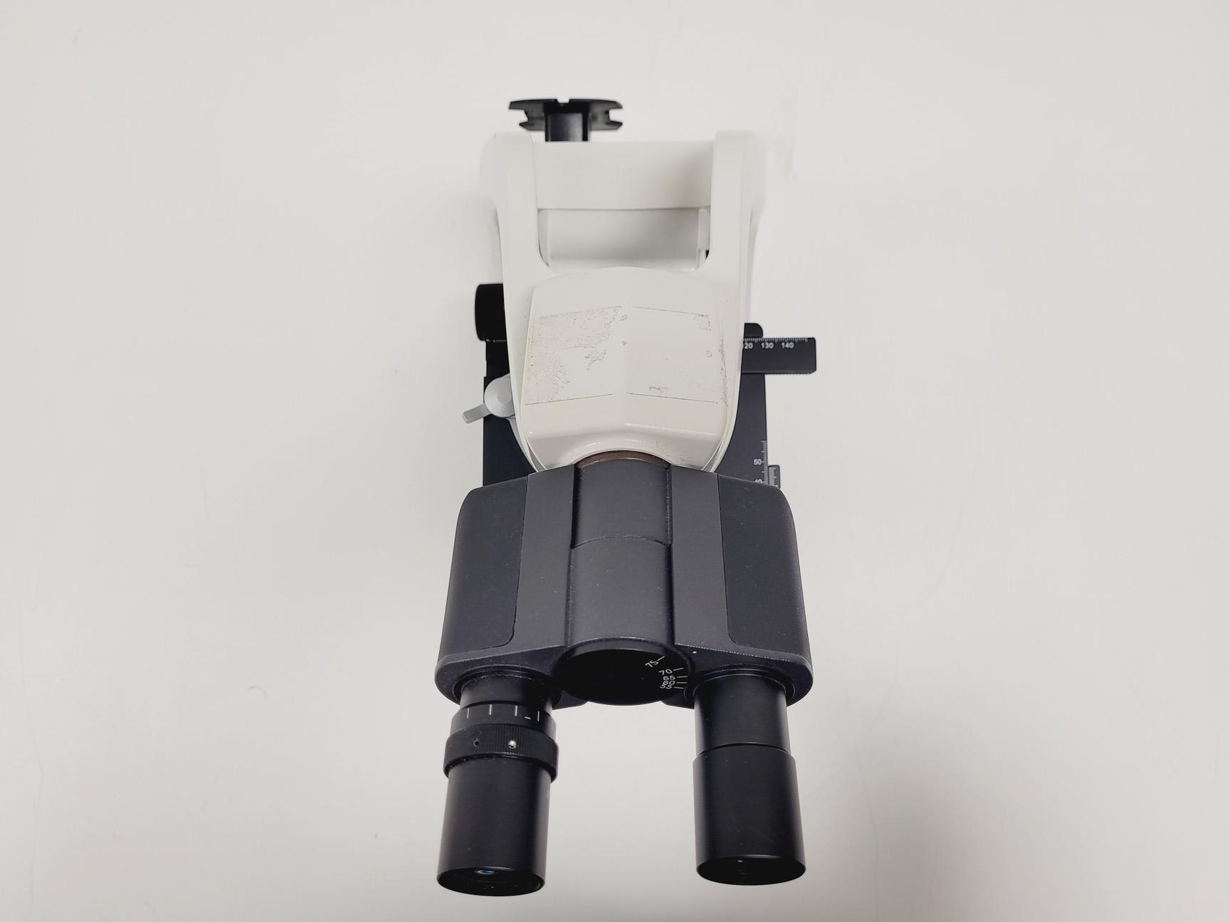 Image of Fisher 11350104 Scientific Compound Microscope w/ 4x Objectives